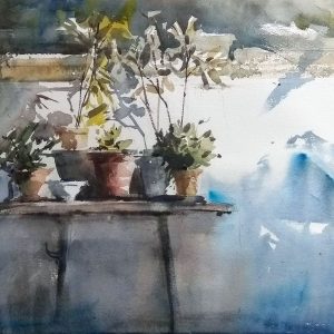 1812 luz en el patio 61.46